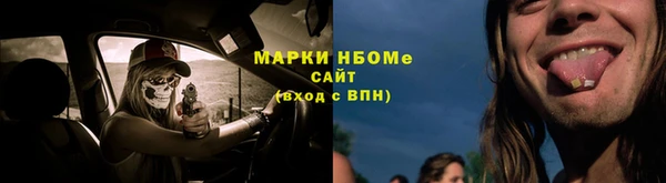 прущий лед Алзамай