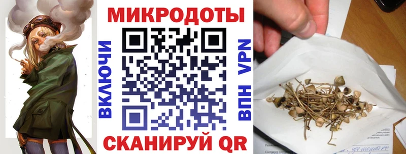 купить наркотики цена  Слюдянка  Псилоцибиновые грибы Psilocybe 